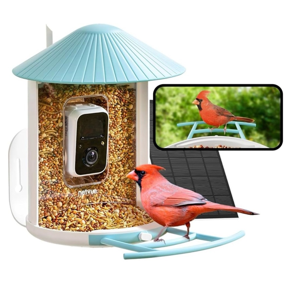 Blue Bird Feeder with Camera